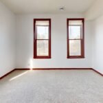 Carpet Cleaning Reddit: Top Advice & Tips Uncovered