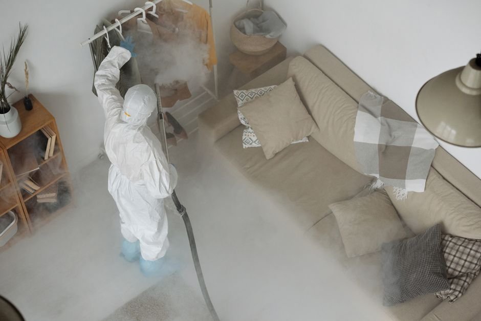 Carpet Cleaning Services Reddit: A Comprehensive Guide 6 Featured image