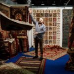 Do Landlords Have to Replace Carpets Every 7 Years? Reddit