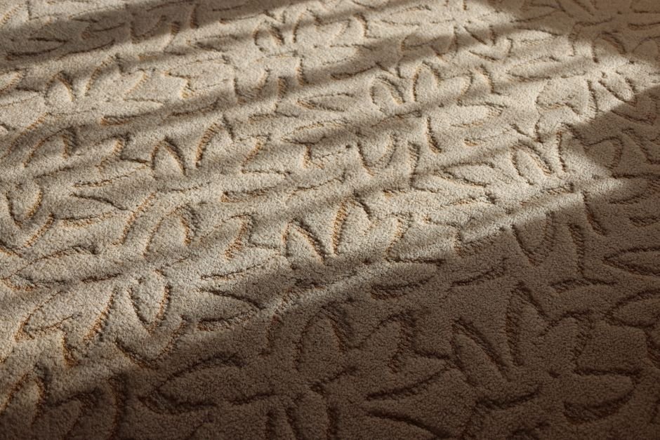 Local Carpet Cleaners in Dunfermline: Your Guide 1 Featured image