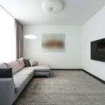 Professional Carpet Cleaning Worth It Reddit: A Guide