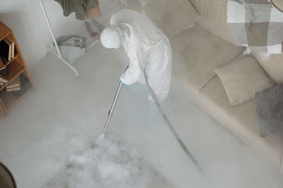 Professional Cleaning Tenancy Reddit Tips and Advice 1 Featured image